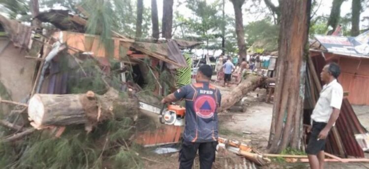 BPBD Pariaman Bersihkan Material Pohon Tumbang 1 PEMBERSIHAN MATERIAL POHON TUMBANG— Anggota BPBD Kota Pariaman, membersihkan material pohon tumbang di kawasan wisata Pantai Kata Pariaman.