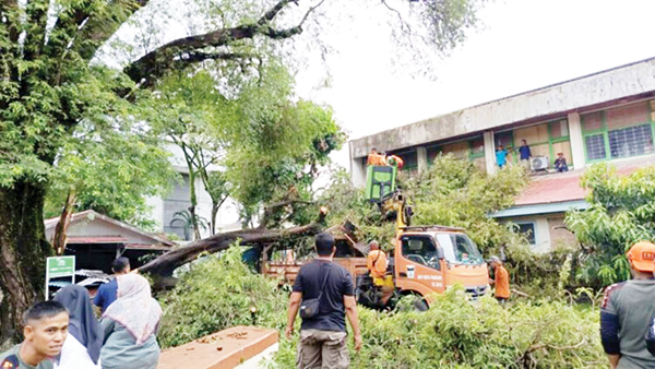 Pohon Tumbang Timpa Area Parkir PTUN dan Museum Adityawarman 1 EVAKUASI POHON— Petugas BPBD Kota Padang melakukan evakuasi pohon tumbang jenis asam jawa di area parkiran PTUN Padang dan Museum Adityawarman di Jalan Dipenegoro, Kelurahan Belakang Tangsi, Rabu (11/12).