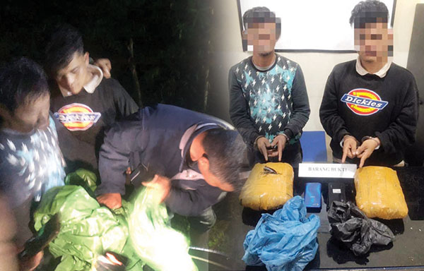 Dua Pengedar Ganja Kepergok Transaksi di Kebun Sawit,Polisi Sita 2 Kg Ganja 1 GANJA— Dua pengedar ganja yang bertransaksi di kebun sawit ditangkap jajaran Satresnarkoba
Polres Agam.