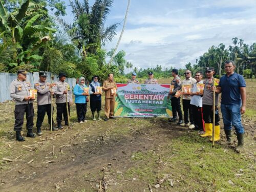 Dukung Asta Cita, Kapolsek Pancung Soal dan Forkopimca Tanam Jagung Serentak 1 1 32 e1737535682319