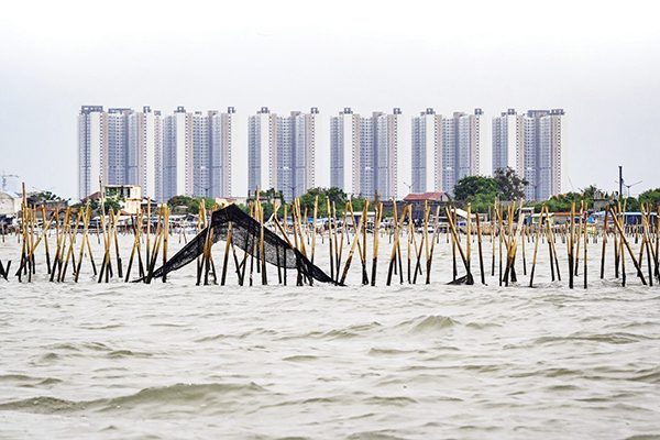 Selain di Tangerang juga Ditemukan di Bekasi dan Surabaya, Haidar Alwi Sebut Pagar Laut Tak Terkait Jokowi 1 PAGAR LAUT— Keberadaan pagar laut di Tangerang yang menjadi sorotan publik saat ini