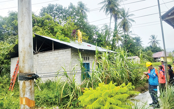 Angin Kencang, Pohon Setinggi 15 Meter Tumbang Timpa Rumah Warga 1 EVAKUASI POHON TUMBANG— Petugas TRC BPBD Kota Padang bersama personel PLN melakukan evakuasi terhadap pohon tumbang dan kabel listrik yang menimpa rumah milik Elmawati (50), di di RT 02 RW 03 Cupak Tangah, Kelurahan Cupak Tangah, Kecamatan Pauh, Rabu (15/1).