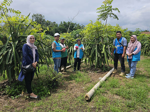 PLN Sumbar Dukung Petani Buah Naga, Keuntungan Meningkat 4 Kali Lipat 1 mendukung sektor pertanian. --PLN Unit Induk Distribusi (UID) Sumatera Barat melalui PLN Unit Pelaksana Pelayanan Pelanggan (UP3) Solok terus tunjukkan komitmennya dalam mendukung sektor pertanian.