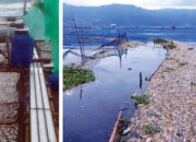 Lagi, 75 Ton Ikan Mati di Danau Maninjau, Kerugian Capai Rp 1,875 Miliar