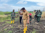 Bangkit dari Galodo, Bukik Batabuah Mulai Penanaman Jagung Serentak