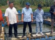 Dinas Pertanian Solok Dorong Pokdakan Perkuat Ketahanan Pangan