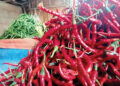 Pedas di Kantong, Harga Cabai Menyala di Awal Tahun