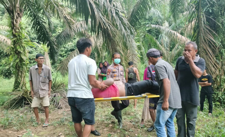 TEWAS— Polisi melakukan olah TKP dan mengevakuasi jenazah pemotor yang tewas 
di bawah jembatan di Nagari Durian Gadang, Kecamatan Sijunjung.