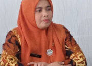 Sepanjang 2024 Kabupaten Solok Lakukan Digitalisasi Demi Masyarakat, Teta Midra: Seluruh Pelayanan Sudah Online