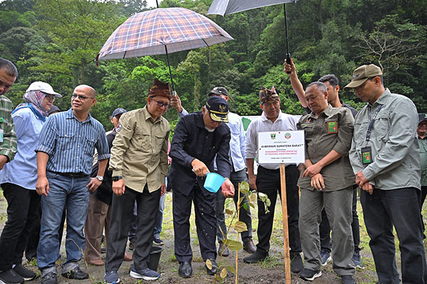 Dukung Kelestarian Hutan dan Kebijakan Nasional, Pemprov Sumbar Gelar Penanaman Pohon Serentak 1 PENANAMAN POHON— Gubernur Sumbar Mahyeldi Ansharullah melakukan penanaman pohon serentak di Kawasan Lembah Anai, Kabupaten Tanah Datar, beberapa waktu lalu.