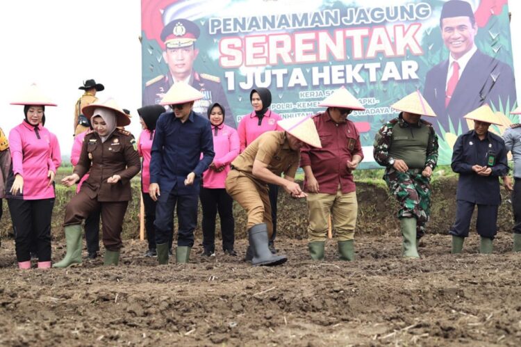 Pj Wako Padang Panjang Ikuti Penanaman Serentak 1 Juta Hektare Jagung 1 PENANAMAN JAGUNG— Pj Wali Kota, Sonny Budaya Putra, mengikuti Penanaman Jagung Serentak 1 Juta Hektare yang merupakan bagian dari program nasional “Asta Cita Menuju Swasembada Pangan” di Kelurahan Ganting, Kecamatan Padang Panjang Timur (PPT), Selasa (21/1).