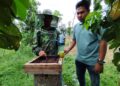 Peternak Madu Galo Galo Terkendala Pemasaran 11 Peternak Madu Galo Galo Terkendala Pemasaran