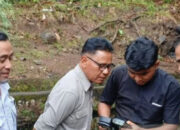 Harimau Sumatera Muncul di Nagari Sungai Batang, BKSDA: Hanya Melintas, Kembali ke Habitat Alami