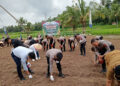 Program Ketahanan Pangan, Polres dan Pemko Tanam Bibit Jagung 10 Program Ketahanan Pangan, Polres dan Pemko Tanam Bibit Jagung
