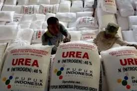 Awas! Jual Pupuk Bersubsidi di Atas HET Denda Rp 1 Miliar 1 Pupuk