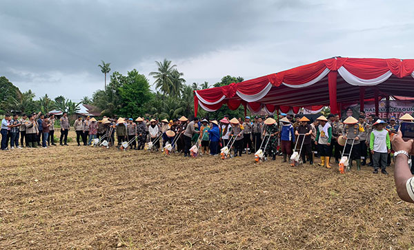 Dukung Swasembada Pangan Nasional, Polda Sumbar Cetak 24.500 Hektare Ladang Jagung 1 TANAM JAGUNG— Kapolda Sumbar Irjen Pol Gatot Tri Suryanta bersama Forkopimpda Sumbar melakukan penanaman jagung di lahan Kecamatan
Koto Tangah, Kota Padang.
