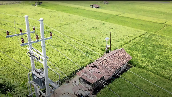 Dukung Tranformasi Pertanian Modern, Electrifying Agriculture PLN Raih 53.539 Pelanggan Baru di Tahun 2024 1 b988d5fb d7ce 4e22 8239 52377058f072