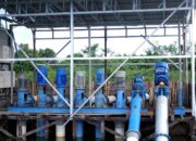 Dukung Tranformasi Pertanian Modern, Electrifying Agriculture PLN Raih 53.539 Pelanggan Baru di Tahun 2024