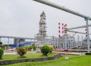 Produksi B40 Harus Diiringi dengan Peningkatan Produksi CPO