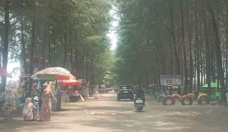 KUNJUNGAN WISATAWAN MENINGKAT—Inilah adalah salah satu objek wisata Pohon Seribu Sasak Kabupaten Pasaman Barat ramai dikunjungi wisatawan saat libur panjang dan cuti bersama Isra Mikraj dan Hari Raya Imlek.