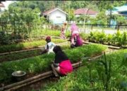 Warga Sawahlunto Diajak Optimalkan Lahan Pekarangan