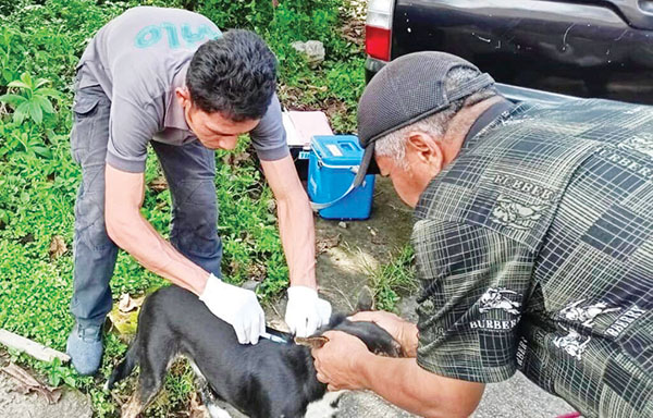 Distan Padang Siapkan 1.000 Dosis Vaksin Rabies 1 VAKSIN RABIES— Dinas Pertanian Kota Padang sudah menyiapkan sebanyak 1.000 dosis vaksin untuk Hewan Pembawa Rabies (HPR) se-Kota Padang. HPR sendiri terdiri dari anjing dan kucing, baik hewan peliharaan maupun tidak.