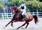 PORDASI Gelar Seleksi Kejuaraan Dunia Horseback Archery di Bali