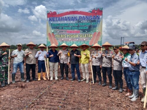 Kapolres Pesisir Selatan Tanam Jagung Tumpang Sari, Dukung Ketahanan Pangan 1 2 30 e1739876084146