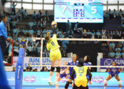 Sukses Taklukkan BJB Tandamata, Jakarta Electric PLN Tantang Popsivo Polwan di PLN Mobile Proliga 2025 Seri Surabaya