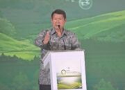 Di Forum ESG, Hashim Apresiasi Peran Aktif Perdagangan Karbon Indonesia, Terbesar dari PLN