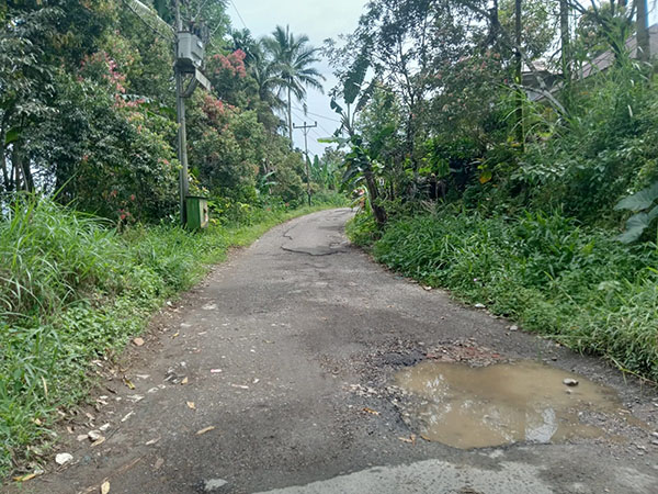 Kondisi Ruas Jalan Malalak Barat-Gunung Padang Alai Butuh Perhatian 1 BUTUH PERHATIAN— Beginilah kondisi ruas jalan Sicincin-Malalak-Balingka yang saat ini butuh perhatian pemerintah.