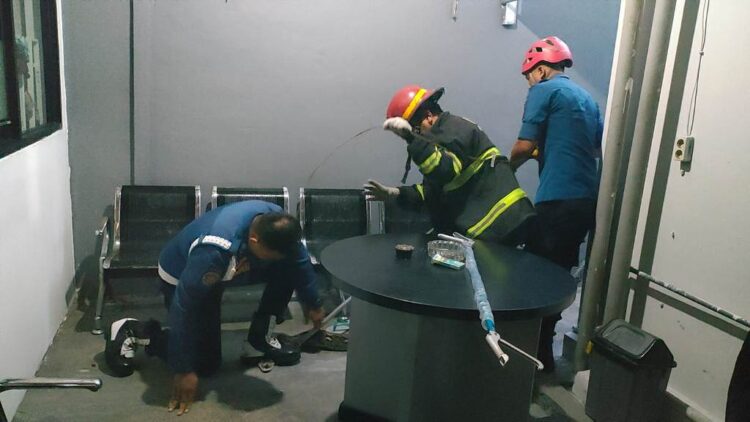 Damkar Amankan Piton 3 Meter di Kantor BRI Khatib 1 EVAKUASI ULAR— Petugas Damkar Kota Padang berhasil mengamankan ular piton sepanjang tiga meter di kantor Bank BRI Cabang Khatib Sulaiman, Jumat (14/2) pagi.