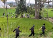 Jalan Menuju Ponpes di Sariak Laweh Ditutup Warga, Santri Terpaksa Lewat Pematang Sawah