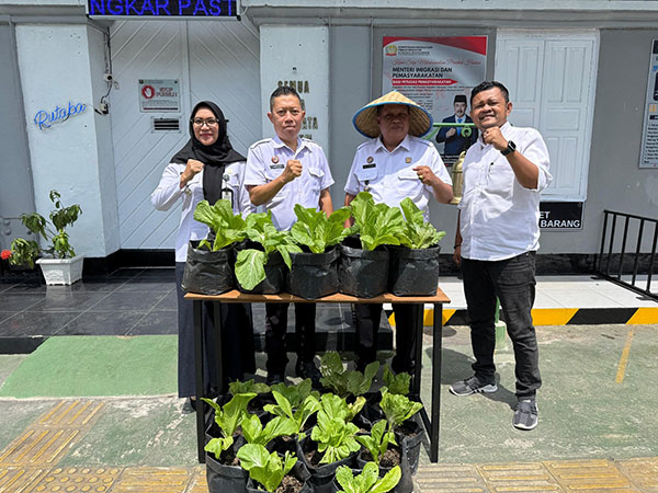 Rutan Batusangkar Kembali Panen Sayur Hasil Pemberdayaan Warga Binaan 1 PANEN SAYUR— Kepala Rutan Kelas IIB Batusangkar Elfiandi bersama Pejabat Struktural memamerkan kembali hasil panen sayur sebagai hasil pemberdayaan warga binaan dalam mendukung ketahanan pangan, Rabu (5/2) siang.