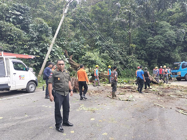Pohon Besar Tumbang, Jalan Sumbar-Riau Terhambat 1 Jam 1 pembersihan material pohon— Kalaksa epala BPBD Limapuluh Kota Rahmadinol bersama anggota, masyarakat dan petugas PLN melakukan evakuasi pembersihan material kayu tumbang di jalan Sumbar-Riau.