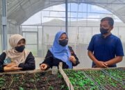 Pengendalian Inflansi, TPID Kabupaten Solok Fokus dengan Ketersediaan dan Produksi Pangan