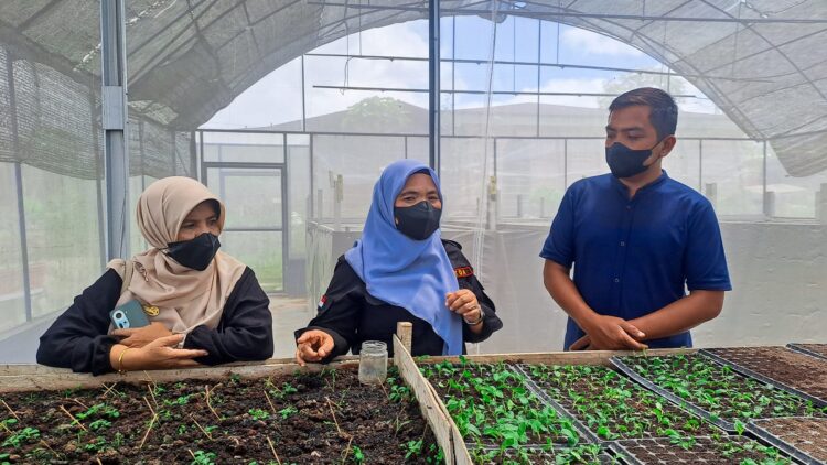 Pengendalian Inflansi, TPID Kabupaten Solok Fokus dengan Ketersediaan dan Produksi Pangan 1 MONITORING—Tim Pengendali Inflasi Daerah (TPID) Kabupaten Solok saat melakukan monitoring dan evaluasi di Kecamatan Lembah Gumanti dan Hiliran Gumanti.