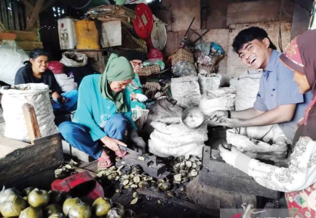 PEDAGANG PENGUMPUL— Permintaan buah kolang-kaling dari pedagang pengumpul di Kabupaten Agam, untuk kebutuhan masyarakat luar provinsi tersebut meningkat menjelang Ramadhan untuk kebutuhan bulan suci tersebut.