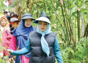 Tadabur Alam di Burai Burai Indah, TP PKK Agam Ajak Masyarakat Jaga Kelestarian Alam