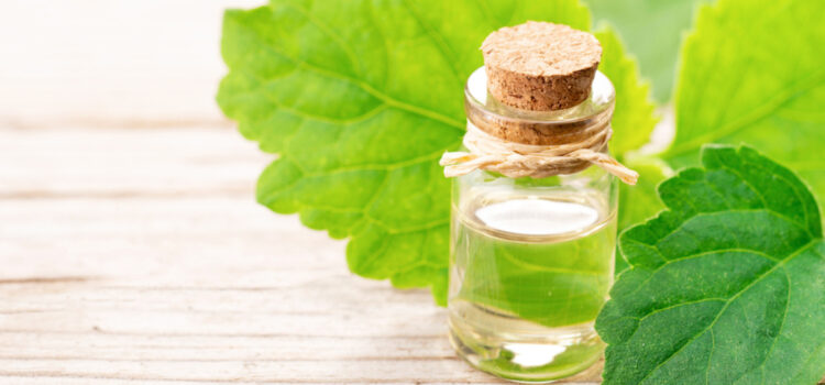 Harga Minyak Nilam Naik, Petani di Pasbar Bahagia 1 Minyak Nilam