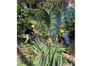 PLN UP3 Padang Jaga Listrik Tetap Aman di Bulan Ramadan, Adakan Gelar Peralatan dan Pembersihan Dahan Pohon