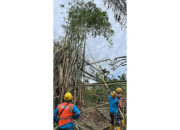 GOROW dan Pemeliharaan Konstruksi, PLN Tingkatkan Keandalan Pasokan Listrik Selama Ramadhan