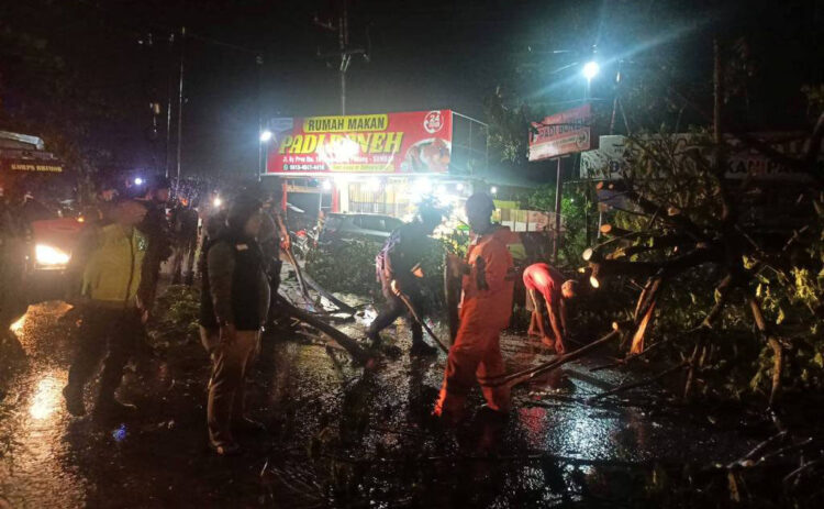 BPBD Evakuasi 2 Pohon Tumbang Hambat Akses Jalan di Bypass 1 484722367 663195936259981 2836690884784292495 n