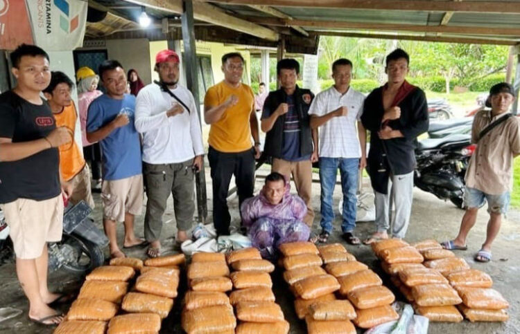 Mobil Terios Kedapatan Bermuatan 82 Kg Ganja, Satu Kurir Ditangkap, Rekannya Berhasil Kabur, Dijemput dari Panyabungan, Diedarkan di Padang 1 Ganja 82 Kg