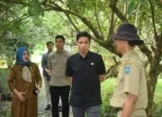 Pastikan dalam Posisi Terbaik saat Libur Idul Fitri, Wali Kota Riyanda Putra Tinjau Beberapa Lokasi Objek Wisata   