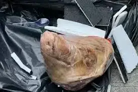 Soal Teror Kepala Babi dan Bangkai Tikus di Tempo, Kabareskrim Komjen Wahyu Widada: Kami Sedang Bekerja 1 KEPALA BABI—Teror kiriman kepala babi dan bangkai tikus ke Kantor Redaksi Tempo.