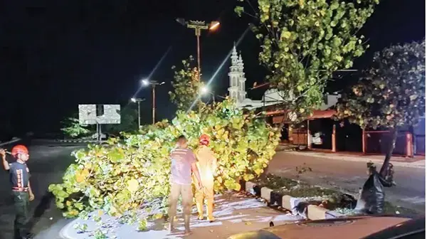 Pohon Baru Tumbang di Jalan Samudera, Akses Jalan Terganggu 1 EVAKUASI TUMBANG— Personel BPBD Kota Padang, yang dipimpin langsung oleh Kalaksa BPBD Kota Padang, Hendri Zulviton melakukan upaya pembersihan dan evakuasi pohon tumbang, di jalan Samudera, Kelurahan Kelurahan Flamboyan Baru, Kecamatan Padang Barat, Jumat (21/3) dini hari.