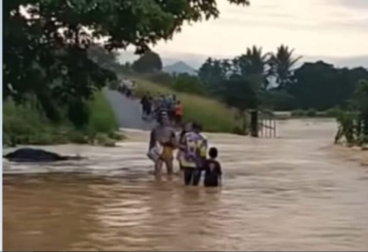 TERSERET ARUS—Seekor kerbau mati diseret arus karena luapan Batang Mungo di Nagari Taram, Kecamatan Harau.