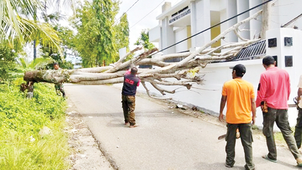 EVAKUASI POHON TUMBANG— Tim BPBD Kota Padang melakukan evakuasi pohon kedodong dengan panjang sekitar 15 meter dan diameter mencapai 80 cm, di Jalan Medan Nan Bapaneh, RT 01 RW 02, Kelurahan Lubuk Minturun, Kecamatan Koto Tangah, Sabtu (1/3).