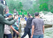 Bentuk Dukung Pemda Terhadap Upaya Peningkatan Ekonomi Rakyat, Bupati Jon Firman Pandu Hadiri Panen Ikan Larangan